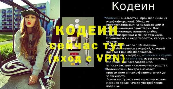 прущие грибы Абаза