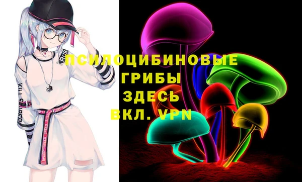 круглые Алзамай