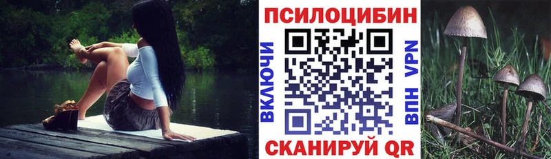 цена   Хадыженск  Псилоцибиновые грибы GOLDEN TEACHER 